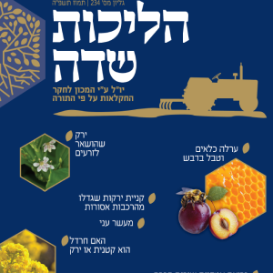 הליכות שדה גיליון 234