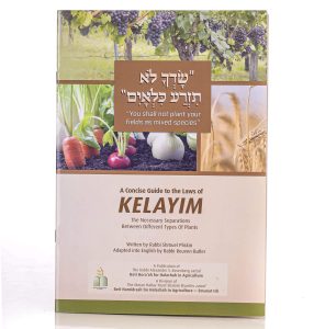 חוברת כלאים אנגלית