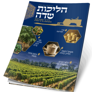 הליכות שדה גיליון 239 - תמוז תשפ"ו