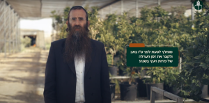 סרטון הדרכה בנושא מניין שנות ערלה