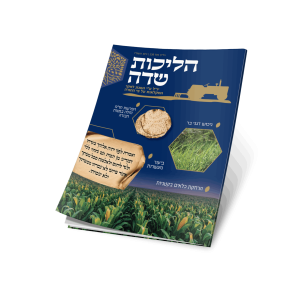 הליכות שדה גיליון 238