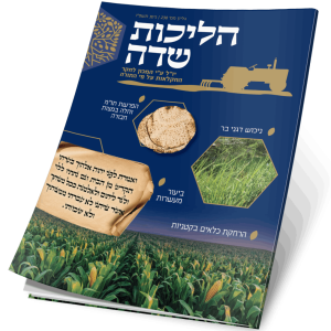 כריכה